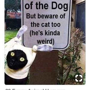 Meet your Posher, Ingrid